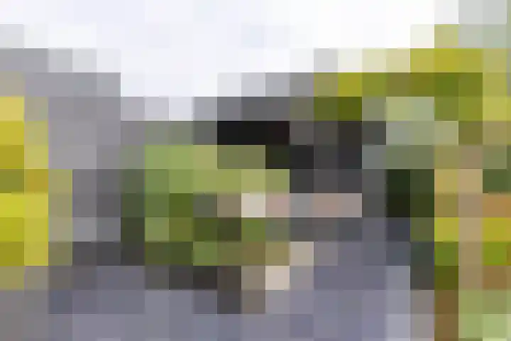 Rederssingel 15 Blauwestad thumbnail 52