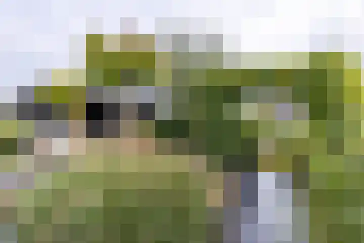 Rederssingel 15 Blauwestad thumbnail 55