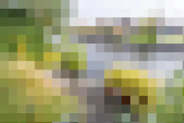 Rederssingel 15 Blauwestad thumbnail 56