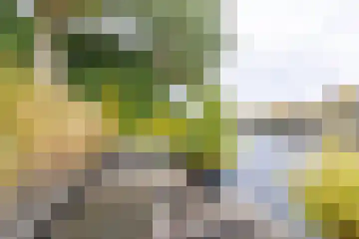 Rederssingel 15 Blauwestad thumbnail 57