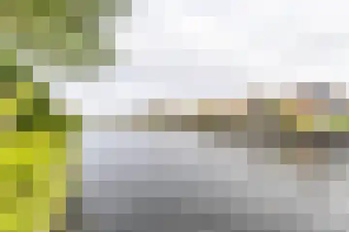 Rederssingel 15 Blauwestad thumbnail 58