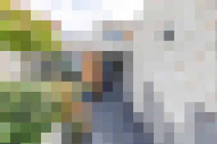 Rederssingel 15 Blauwestad thumbnail 6