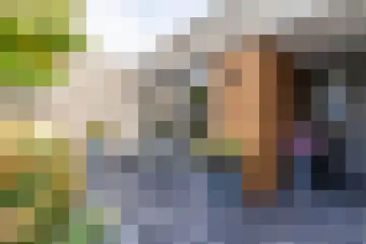 Rederssingel 15 Blauwestad thumbnail 7
