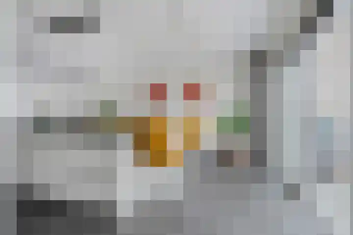 Rederssingel 31 Blauwestad thumbnail 21