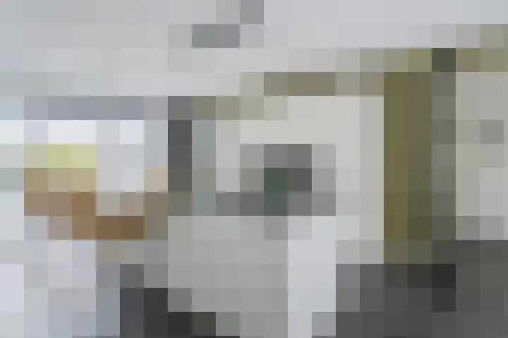 Rederssingel 31 Blauwestad thumbnail 24