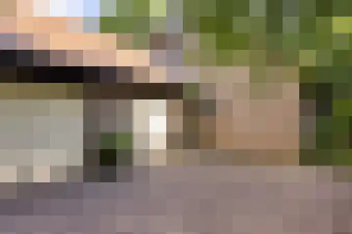 Redger 5 Spijk thumbnail 11