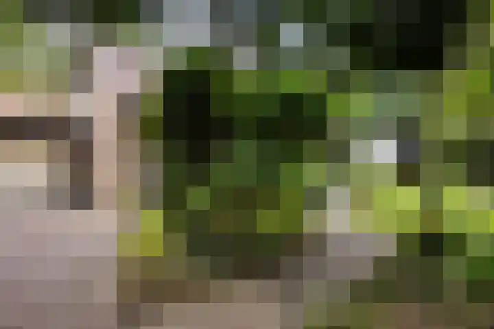 Redger 5 Spijk thumbnail 12