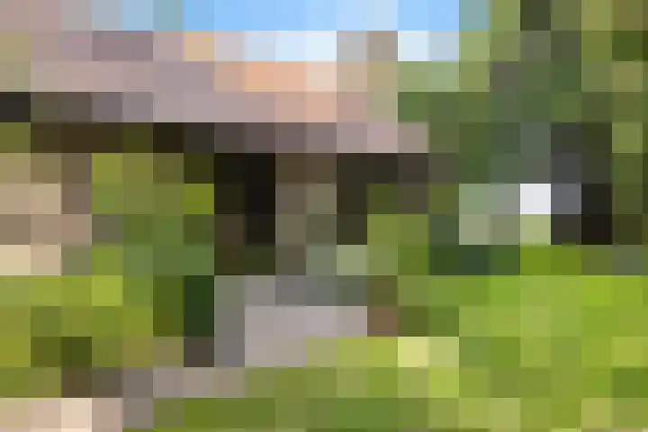 Redger 5 Spijk thumbnail 13