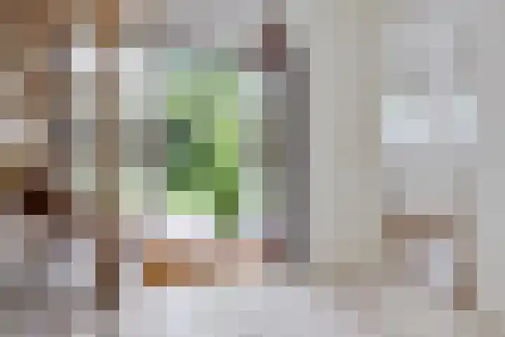 Redger 5 Spijk thumbnail 15