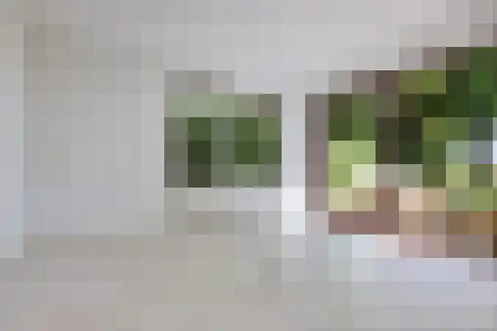 Redger 5 Spijk thumbnail 17