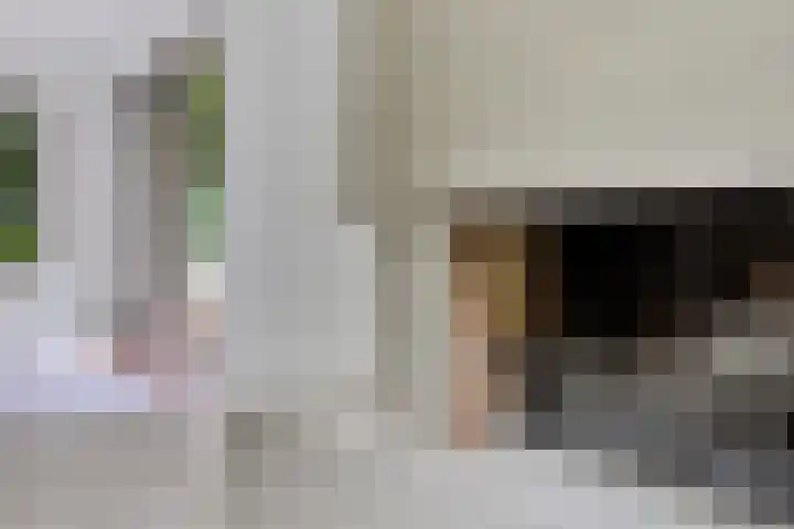 Redger 5 Spijk thumbnail 19