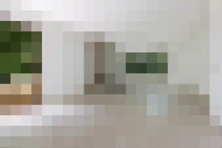 Redger 5 Spijk thumbnail 21
