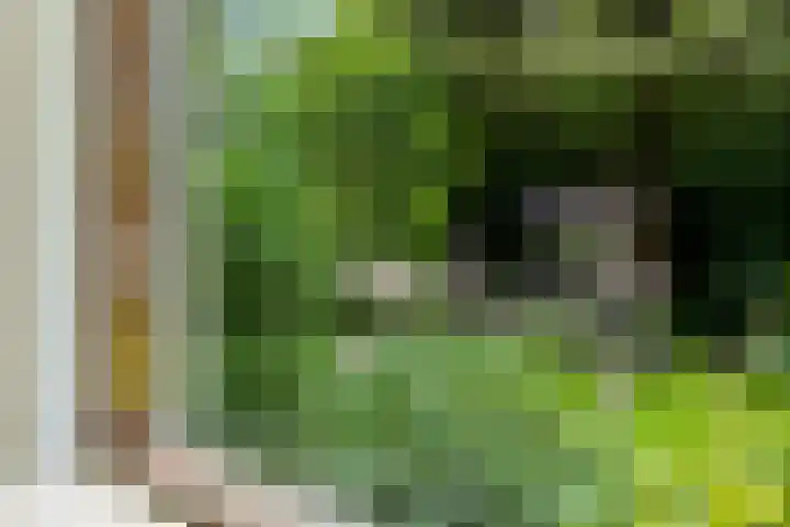 Redger 5 Spijk thumbnail 22