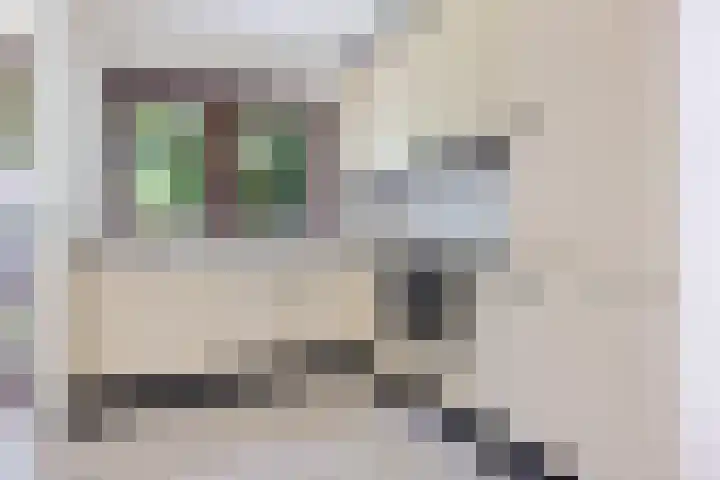 Redger 5 Spijk thumbnail 24