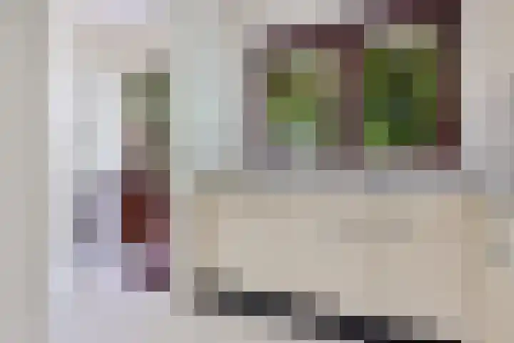 Redger 5 Spijk thumbnail 25