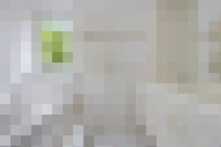 Redger 5 Spijk thumbnail 29
