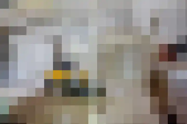 Redger 5 Spijk thumbnail 33