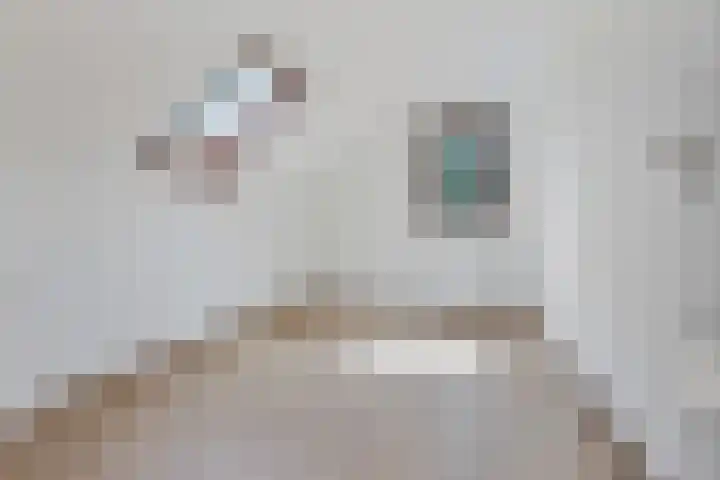 Redger 5 Spijk thumbnail 37