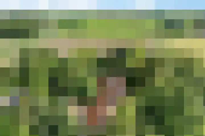 Redger 5 Spijk thumbnail 4