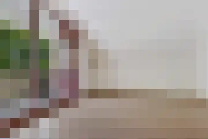 Redger 5 Spijk thumbnail 45
