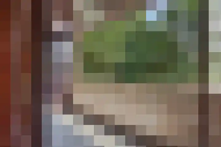 Redger 5 Spijk thumbnail 46