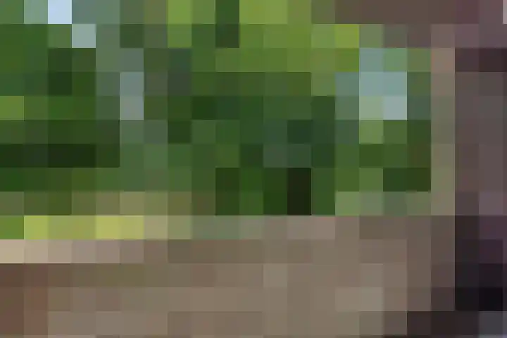 Redger 5 Spijk thumbnail 47
