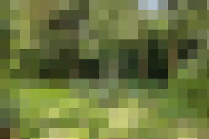 Redger 5 Spijk thumbnail 48