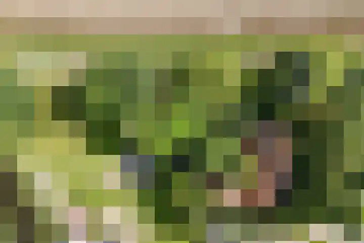 Redger 5 Spijk thumbnail 5