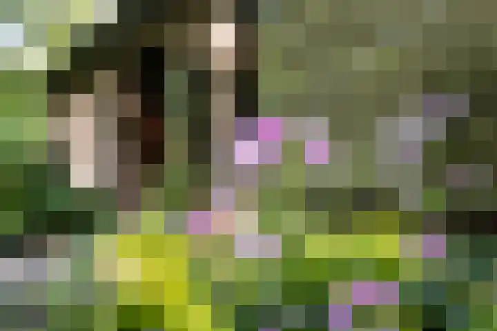 Redger 5 Spijk thumbnail 50