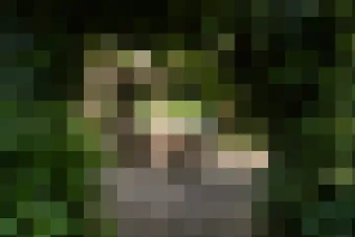 Redger 5 Spijk thumbnail 51