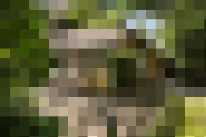 Redger 5 Spijk thumbnail 54