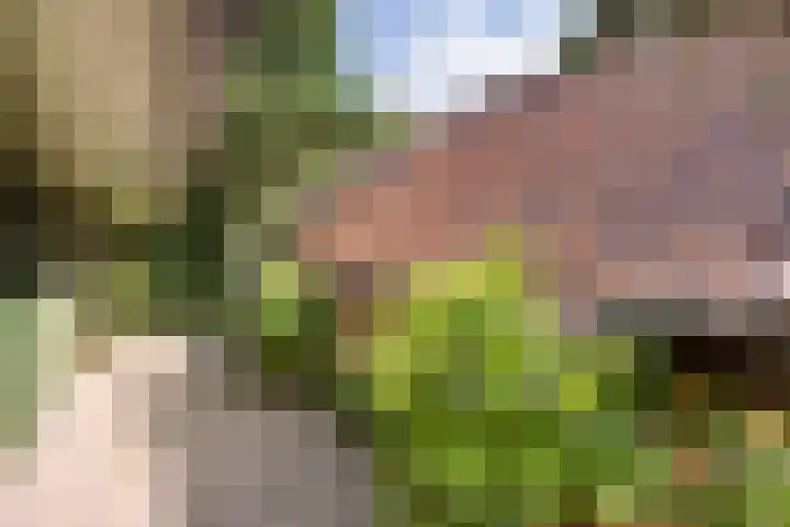 Redger 5 Spijk thumbnail 55