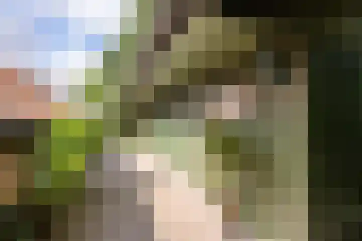 Redger 5 Spijk thumbnail 56