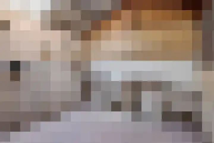 Redger 5 Spijk thumbnail 58