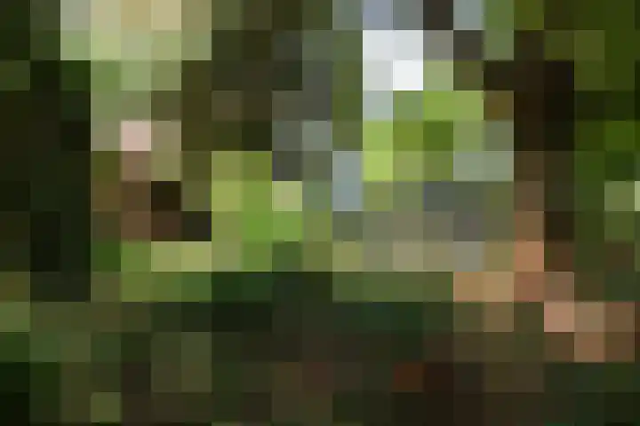 Redger 5 Spijk thumbnail 61