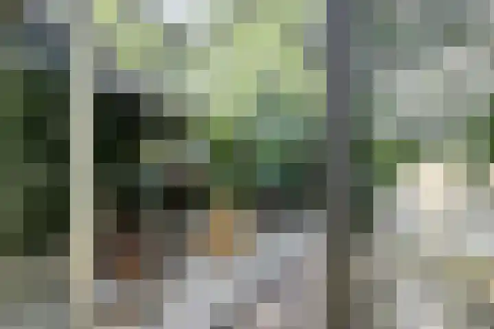 Redger 5 Spijk thumbnail 63