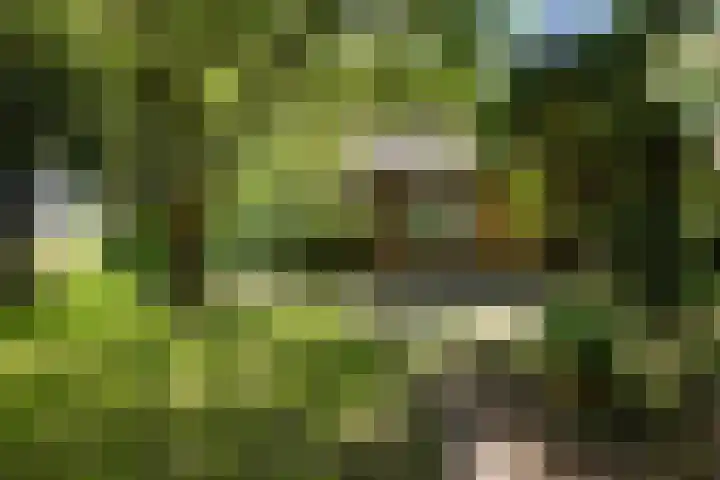 Redger 5 Spijk thumbnail 64