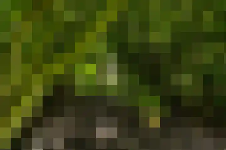 Redger 5 Spijk thumbnail 65