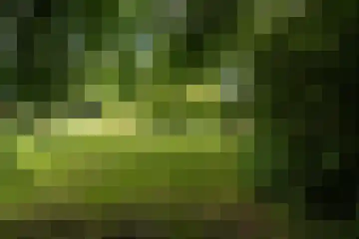 Redger 5 Spijk thumbnail 66