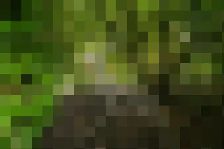Redger 5 Spijk thumbnail 67