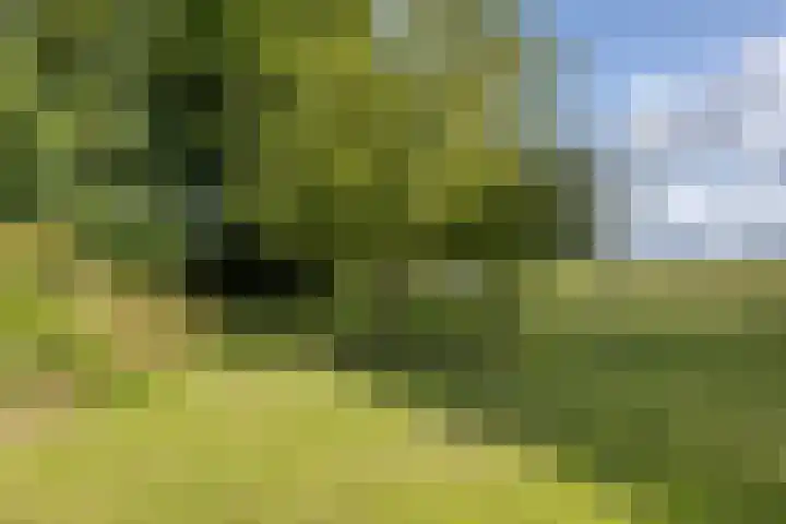Redger 5 Spijk thumbnail 68
