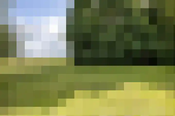 Redger 5 Spijk thumbnail 69