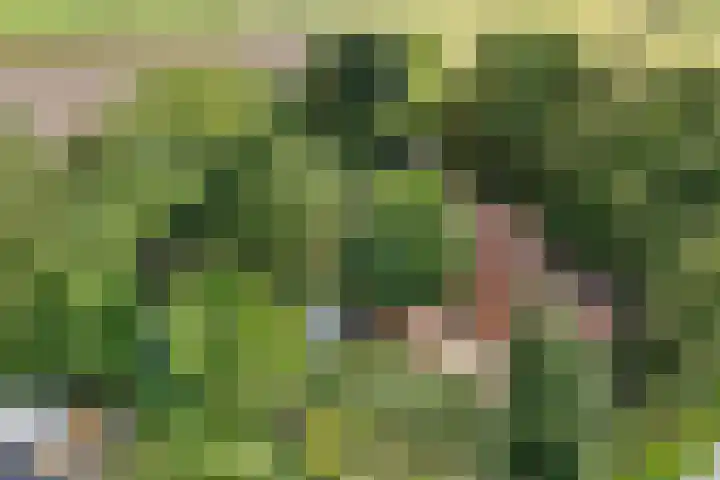 Redger 5 Spijk thumbnail 70