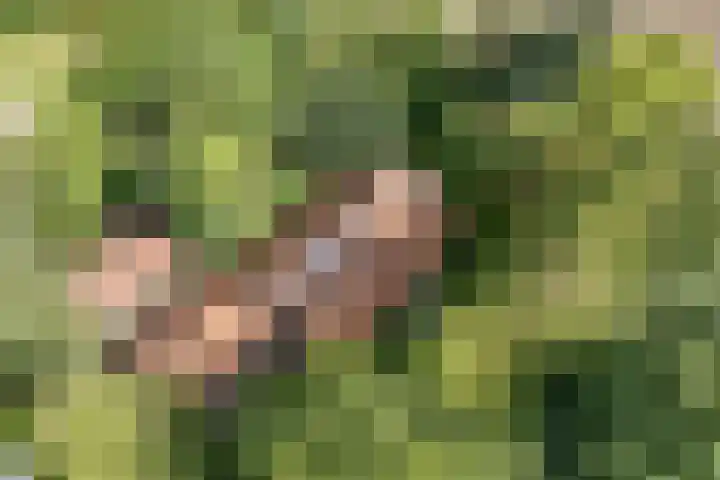Redger 5 Spijk thumbnail 72