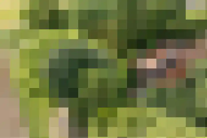 Redger 5 Spijk thumbnail 73