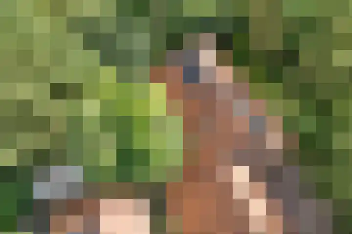 Redger 5 Spijk thumbnail 74