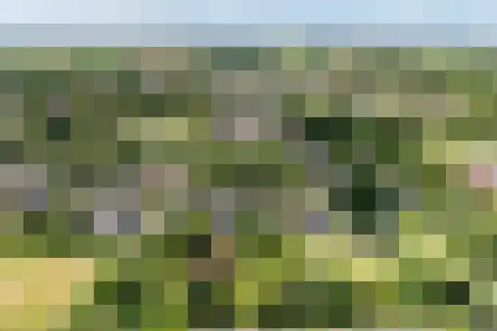 Redger 5 Spijk thumbnail 8