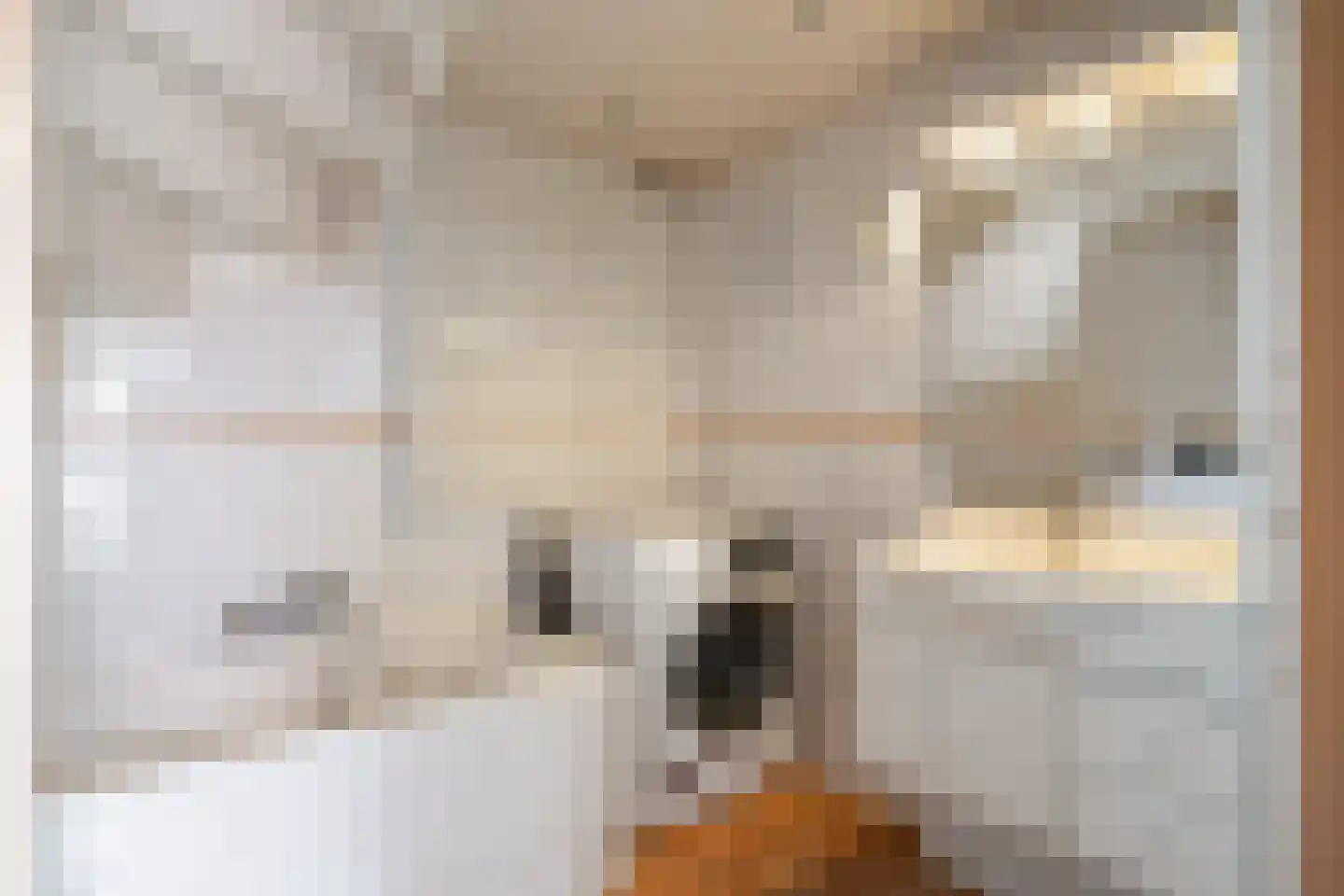 Redger van Bolhuisstraat 14 Warffum thumbnail 10