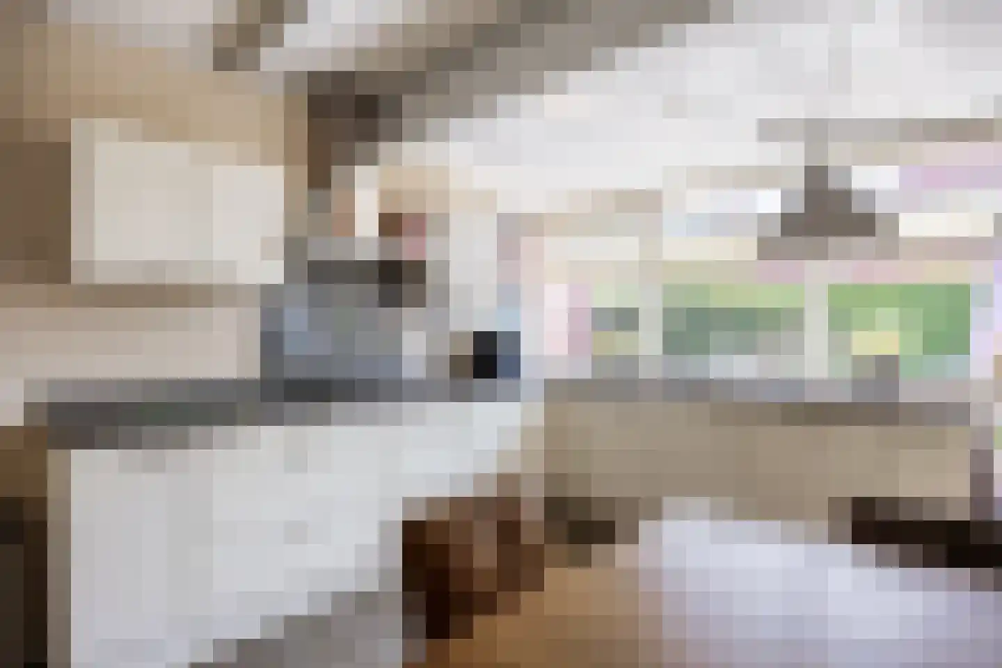 Redger van Bolhuisstraat 14 Warffum thumbnail 13