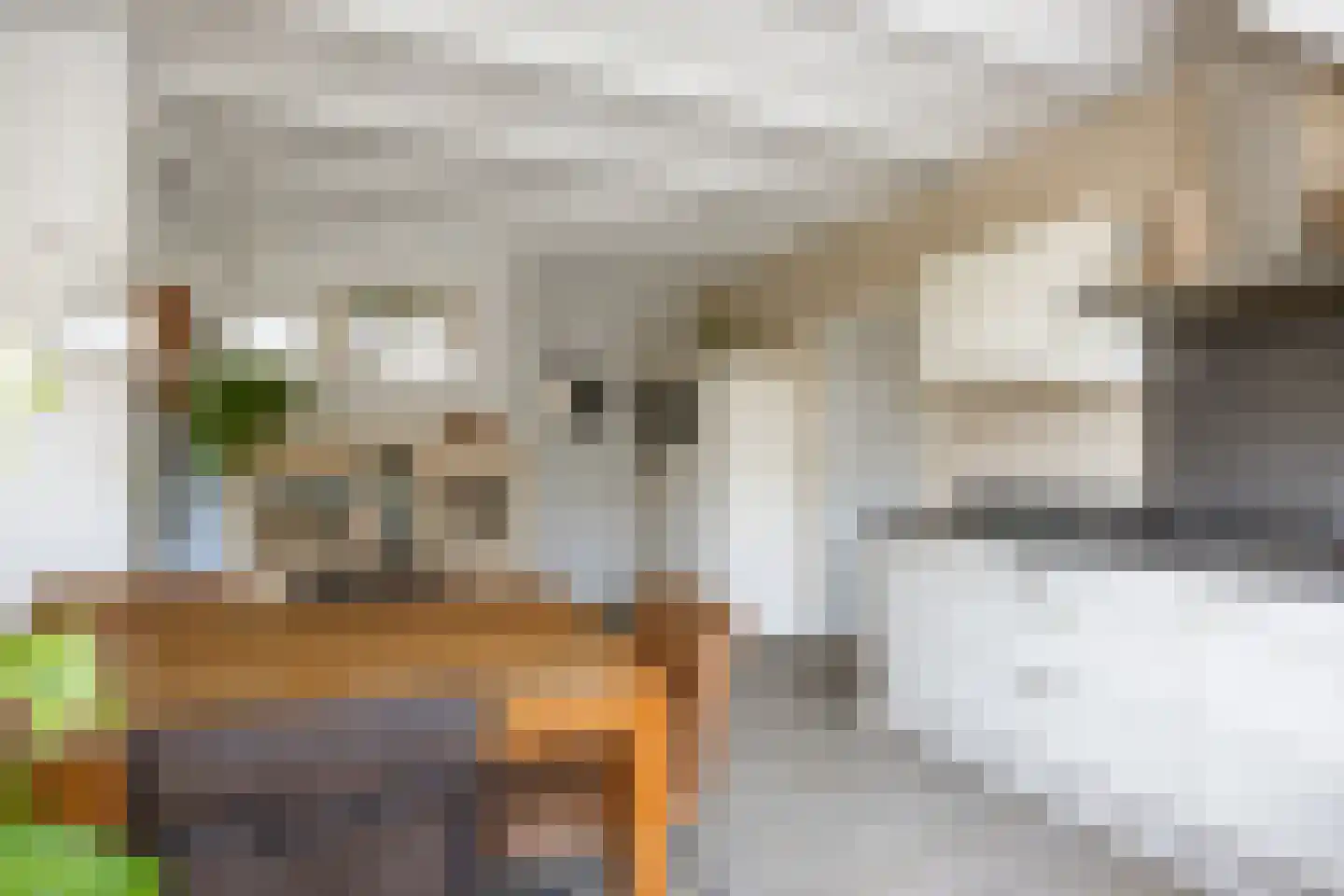 Redger van Bolhuisstraat 14 Warffum thumbnail 16